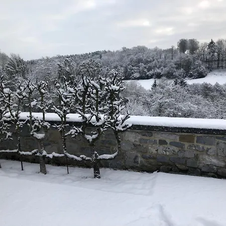 D'hotes Les Grisons 4* 호후예트