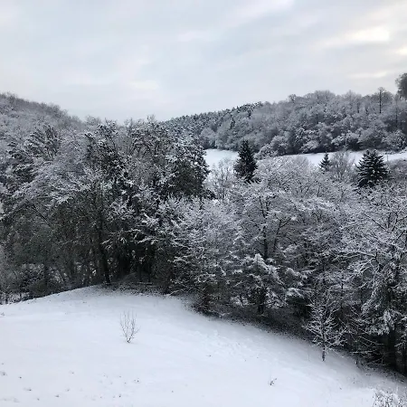 D'hotes Les Grisons بيت ضيافة Houyet