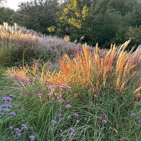 D'hotes Les Grisons 호후예트