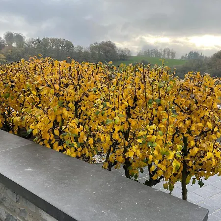 Pensionat D'hotes Les Grisons 4*