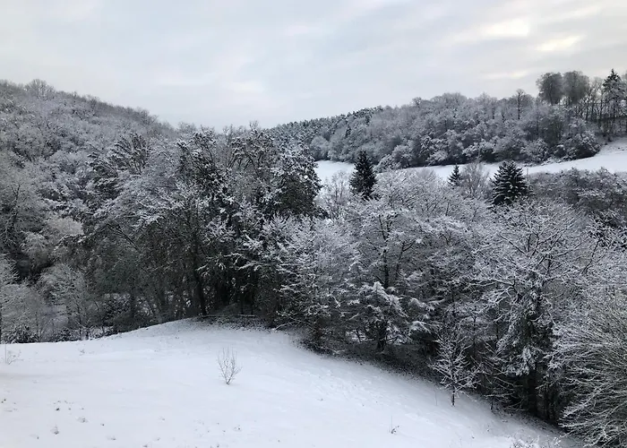 D'hotes Les Grisons Penzion Houyet