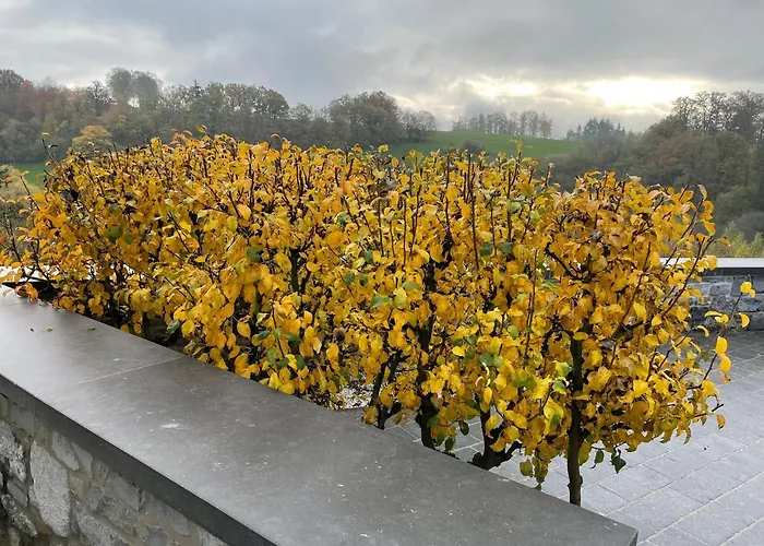 Penzion D'hotes Les Grisons 4*